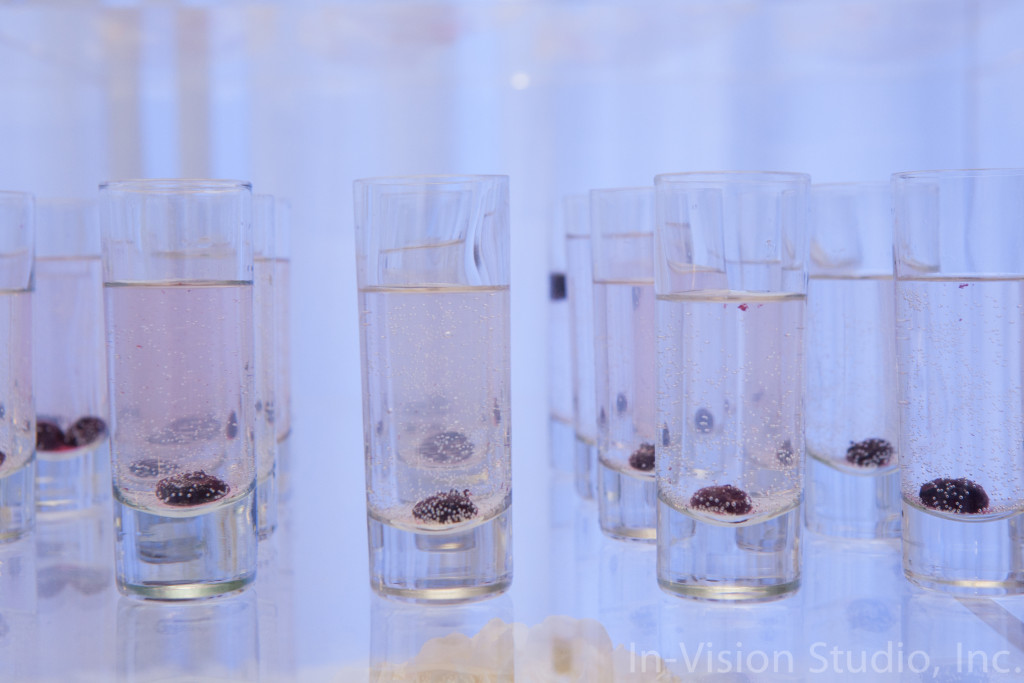 Forces of Nature | In-Vision Studio | The Event Group | Pittsburgh